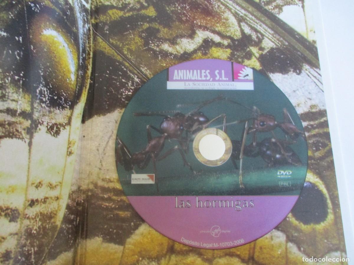 Libros de segunda mano: ANIMALES S.L. Microcosmos. Insectos W22280 - Foto 5