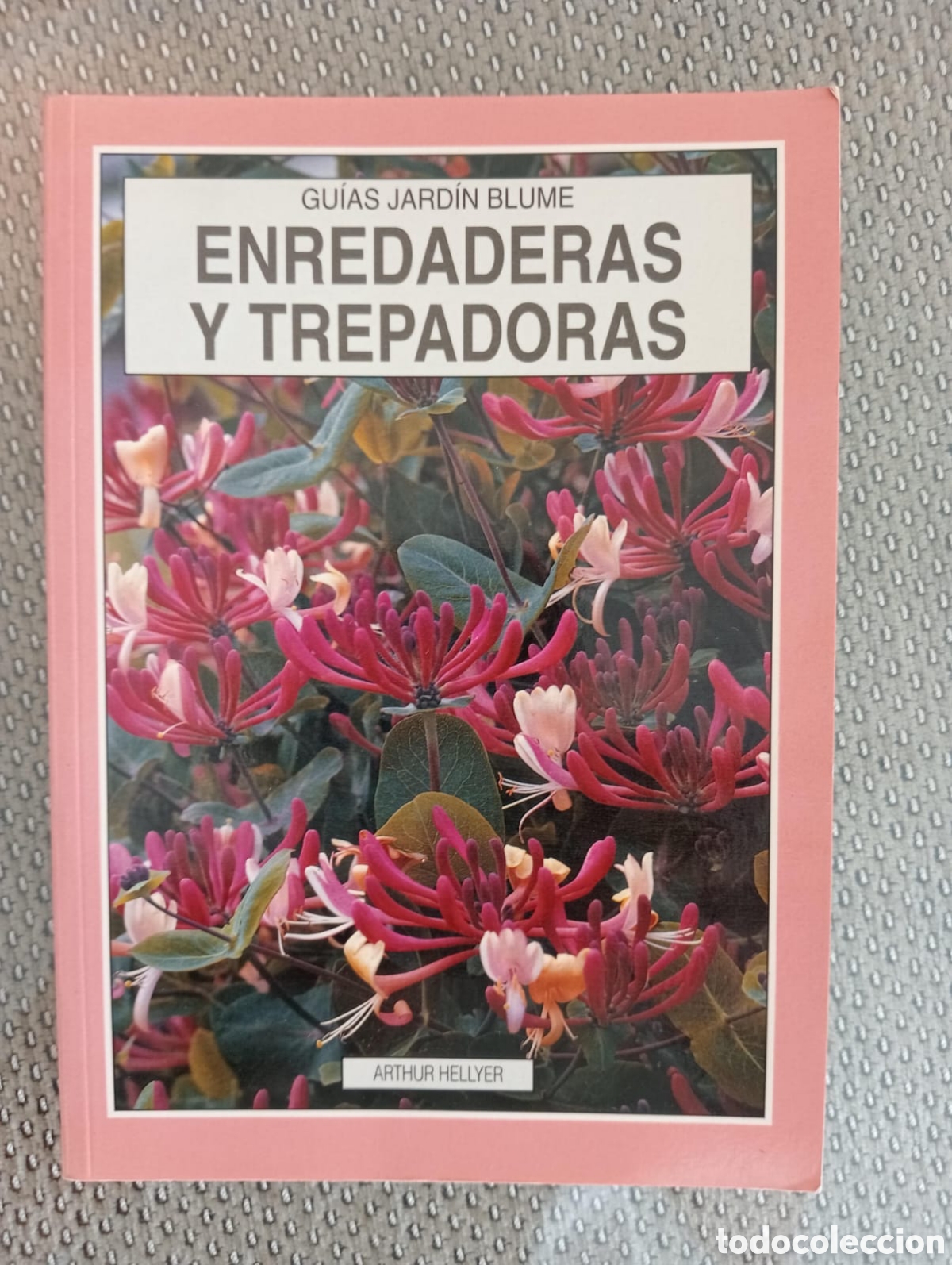 Libros de segunda mano: Enredaderas y trepadoras / Arthur Hellyer - Foto 1