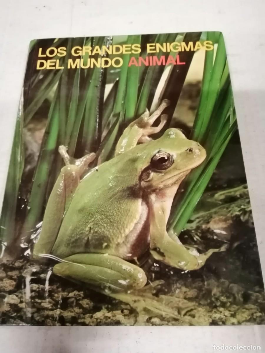 Gebrauchte B&uuml;cher: LOS GRANDES ENIGMAS DEL MUNDO ANIMAL (REPTILES Y ANFIBIOS)