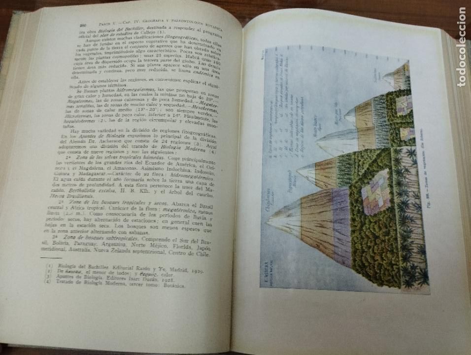 Libros de segunda mano: Manual completo de Biolog&iacute;a moderna. Macroscop&iacute;a y microscop&iacute;a. J. Pujiula. - Foto 3