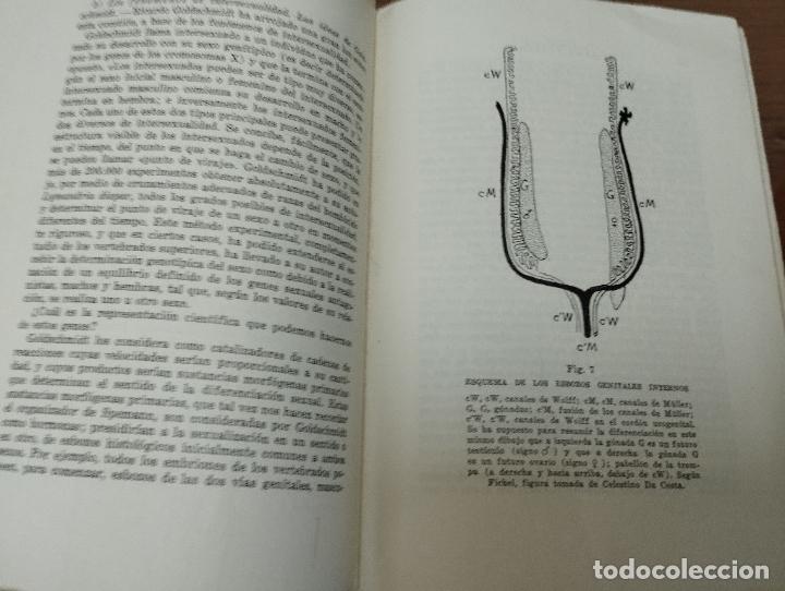 Libros de segunda mano: Las hormonas. Remy Collin. Espasa Calpe. - Foto 4