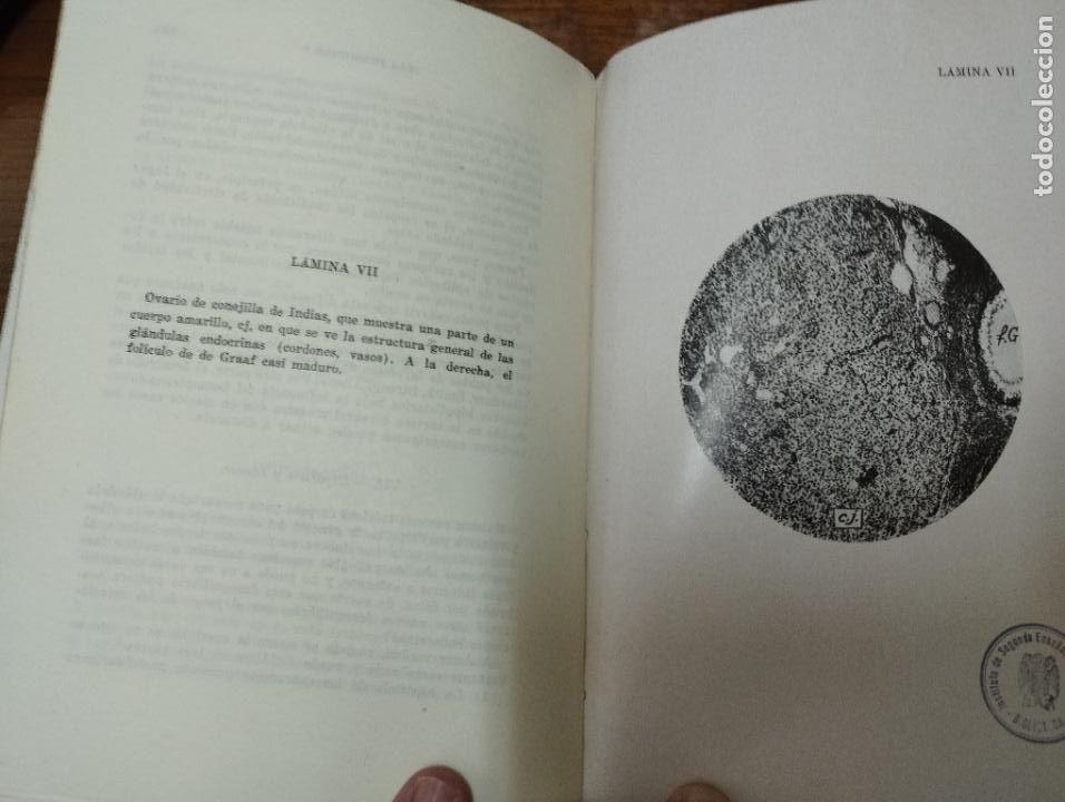 Libros de segunda mano: Las hormonas. Remy Collin. Espasa Calpe. - Foto 5