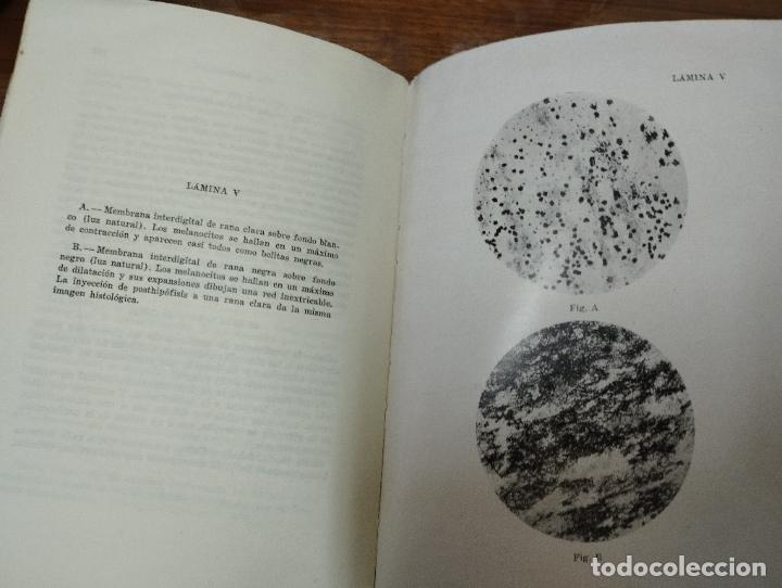 Libros de segunda mano: Las hormonas. Remy Collin. Espasa Calpe. - Foto 6