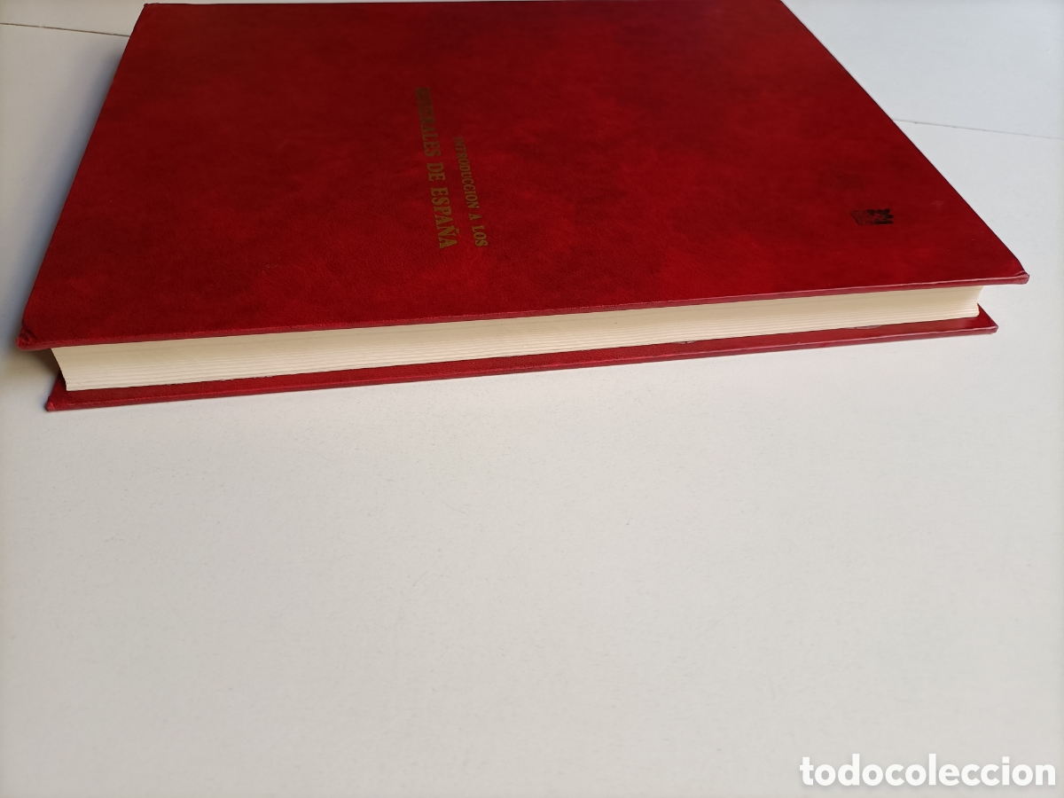 Libros de segunda mano: Introducci&oacute;n a los minerales de Espa&ntilde;a. Emilio Gal&aacute;n - Foto 12