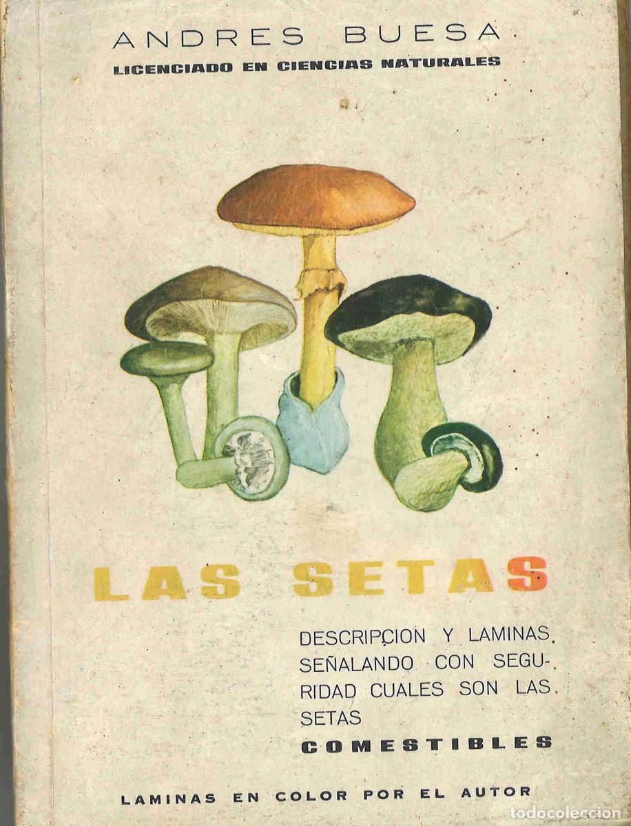 Libros de segunda mano: Las setas. Andr&eacute;s Buesa. 1967 - Foto 1