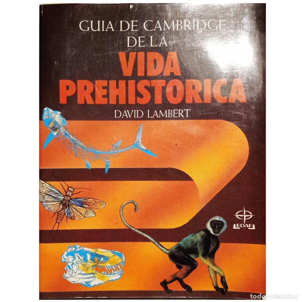 Libros de segunda mano: GU&Iacute;A DE CAMBRIDGE DE LA VIDA PREHIST&Oacute;RICA. Lambert, David - Foto 1