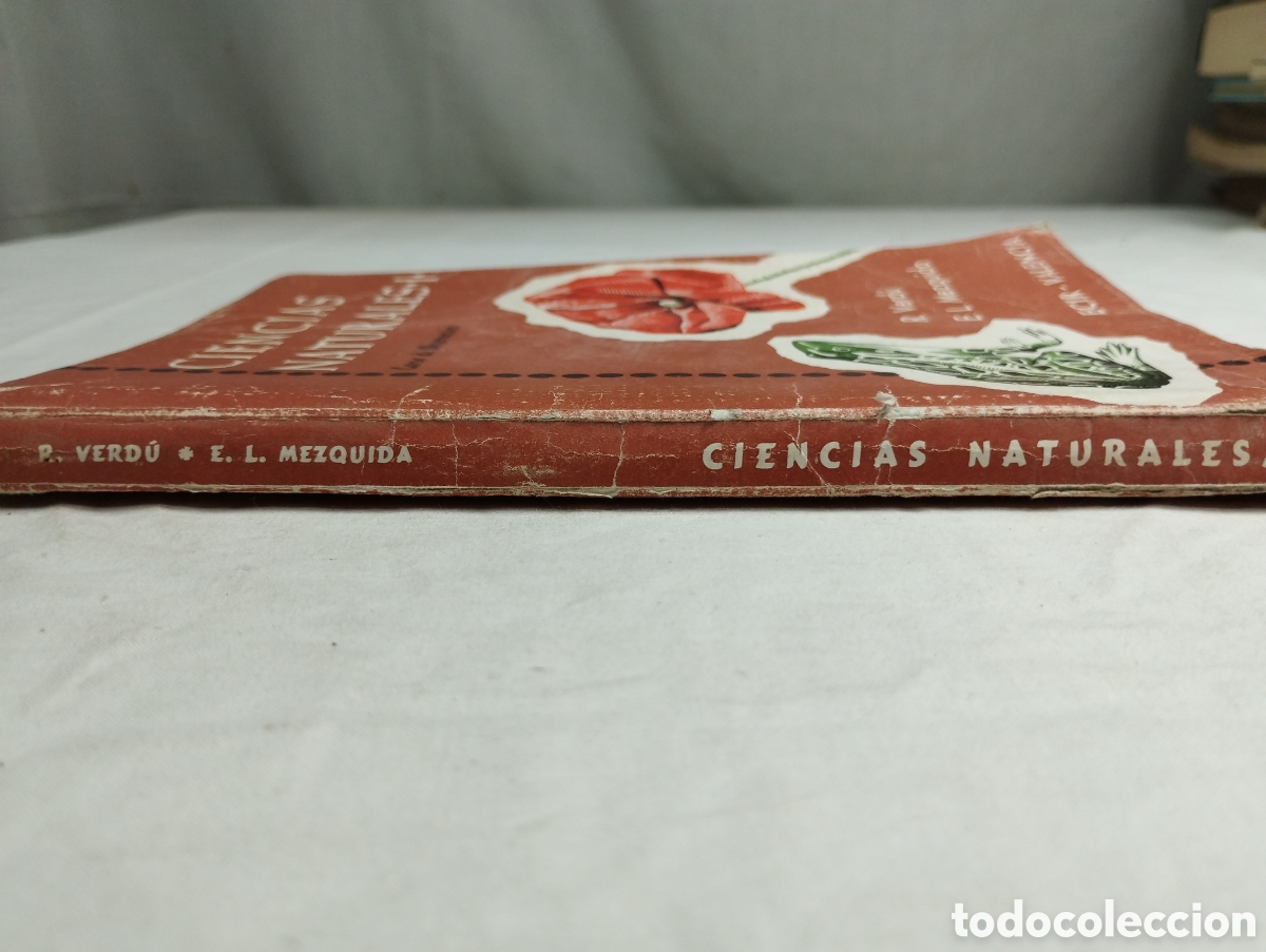 Libros de segunda mano: Ciencias naturales I. ECIR KKB - Foto 2
