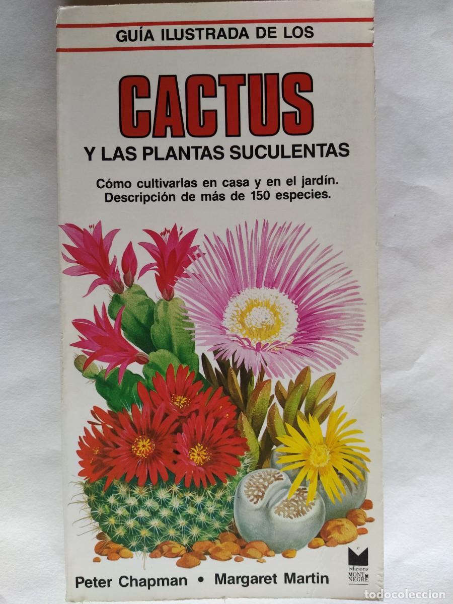 Second hand books: GU&Iacute;A ILUSTRADA DE LOS CACTUS Y LAS PLANTAS SUCULENTAS, CHAPMAN, PETER y MARTIN, MARGARET, 1987