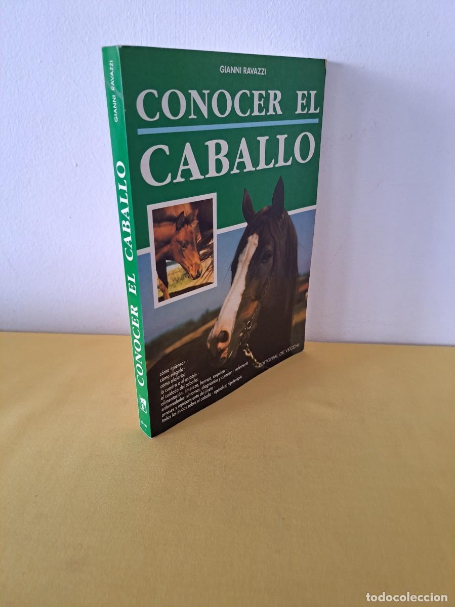 Libros de segunda mano: GIANNI RAVAZZI - CONOCER EL CABALLO - EDITORIAL DE VECCHI 1999 - Foto 1