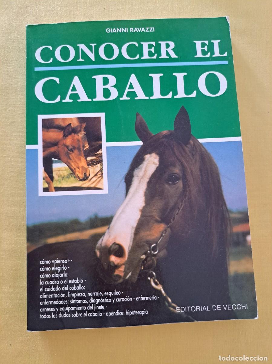 Libros de segunda mano: GIANNI RAVAZZI - CONOCER EL CABALLO - EDITORIAL DE VECCHI 1999 - Foto 2