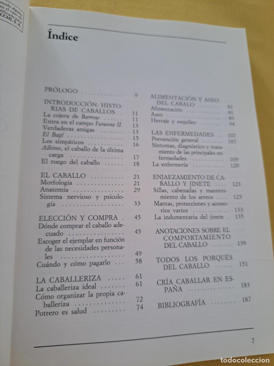Libros de segunda mano: GIANNI RAVAZZI - CONOCER EL CABALLO - EDITORIAL DE VECCHI 1999 - Foto 3