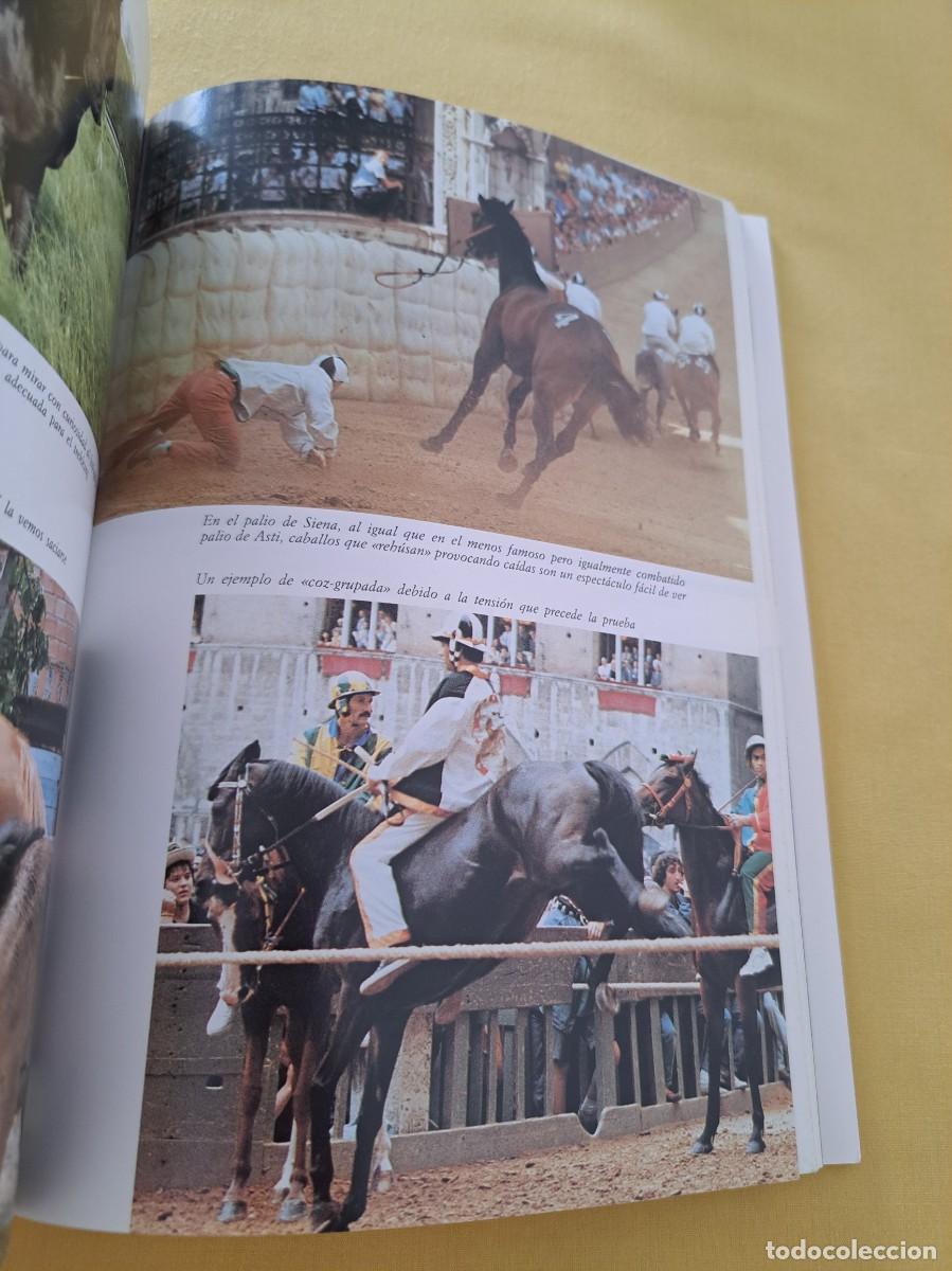 Libros de segunda mano: GIANNI RAVAZZI - CONOCER EL CABALLO - EDITORIAL DE VECCHI 1999 - Foto 4