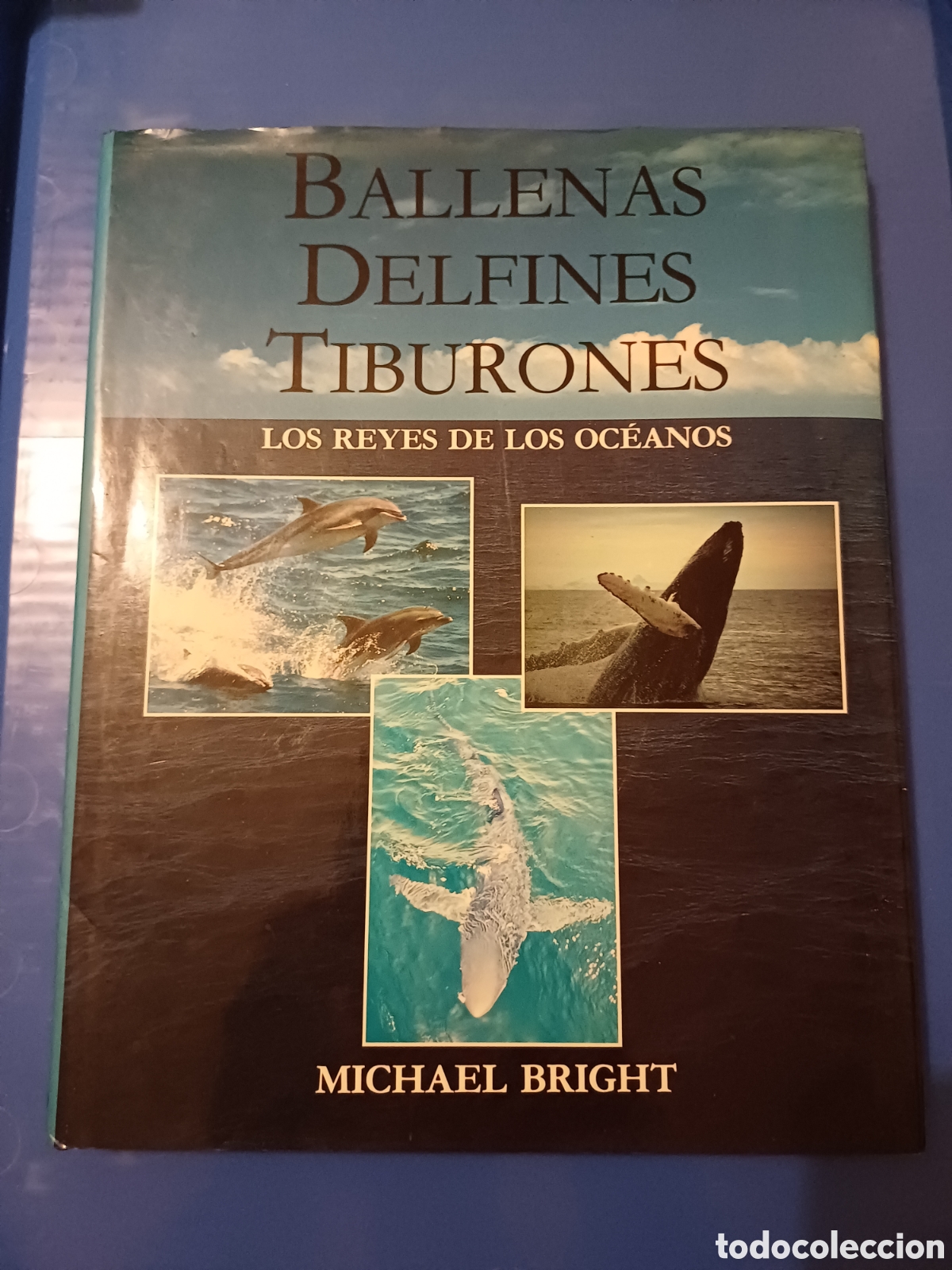 Libros de segunda mano: Ballenas delfines tiburones Los reyes de los oceanos Michael Bright - Foto 1