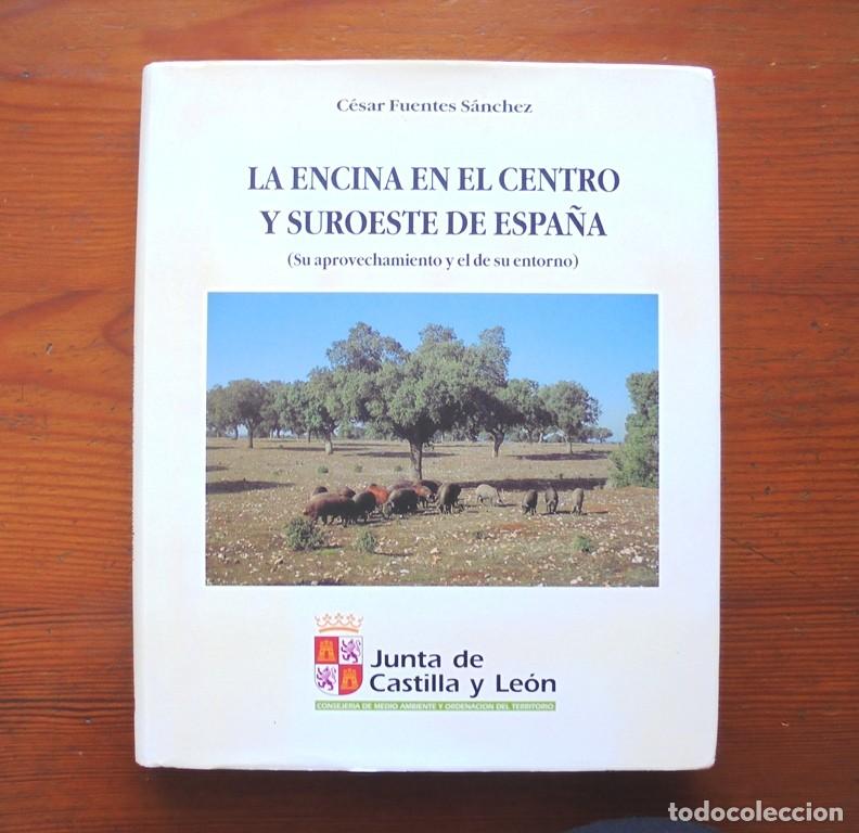 Libros de segunda mano: La encina en el centro y suroeste de Espa&ntilde;a 1994 impecable Junta de Castilla y Le&oacute;n - Foto 1