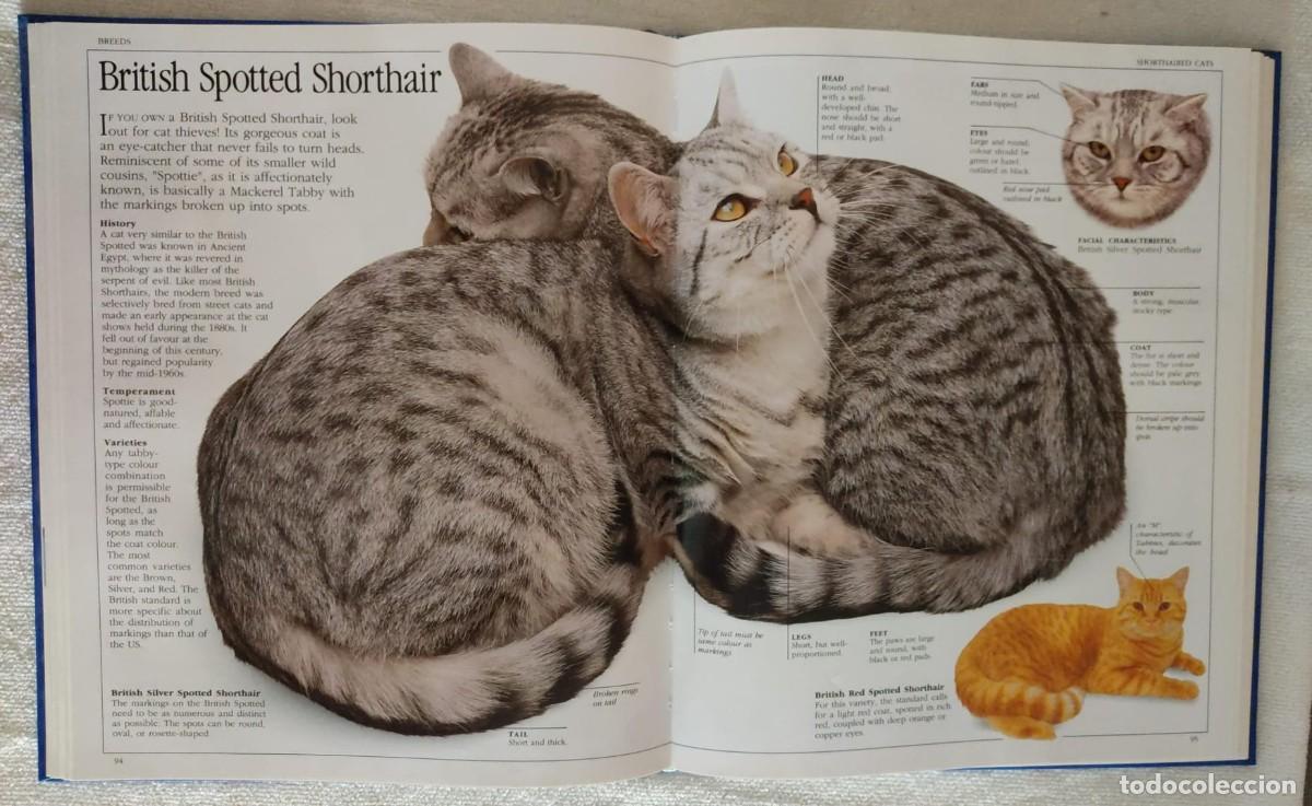 Libros de segunda mano: THE ULTIMATE CAT. - Foto 4