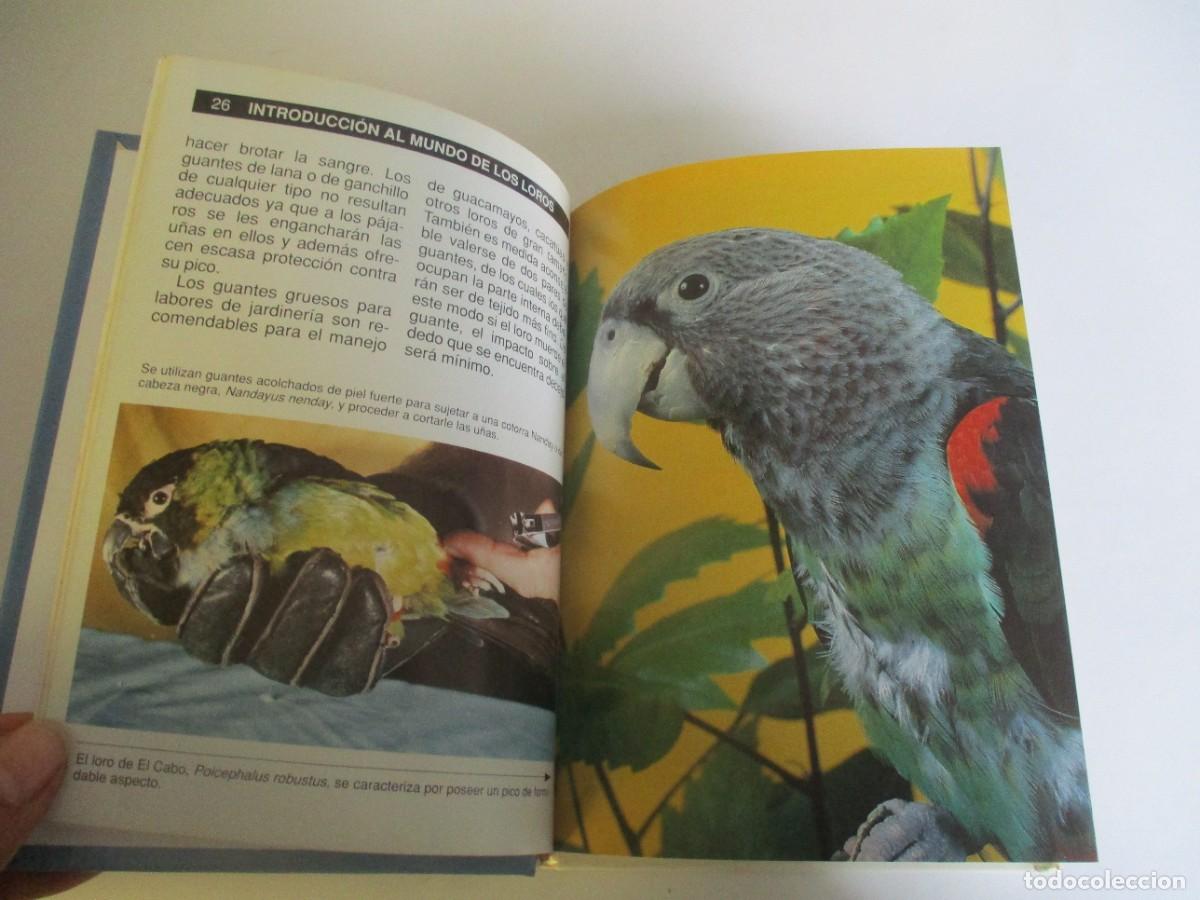 Libros de segunda mano: MART&Iacute;N SKINNER Gu&iacute;a completa de los loros W22435 - Foto 2
