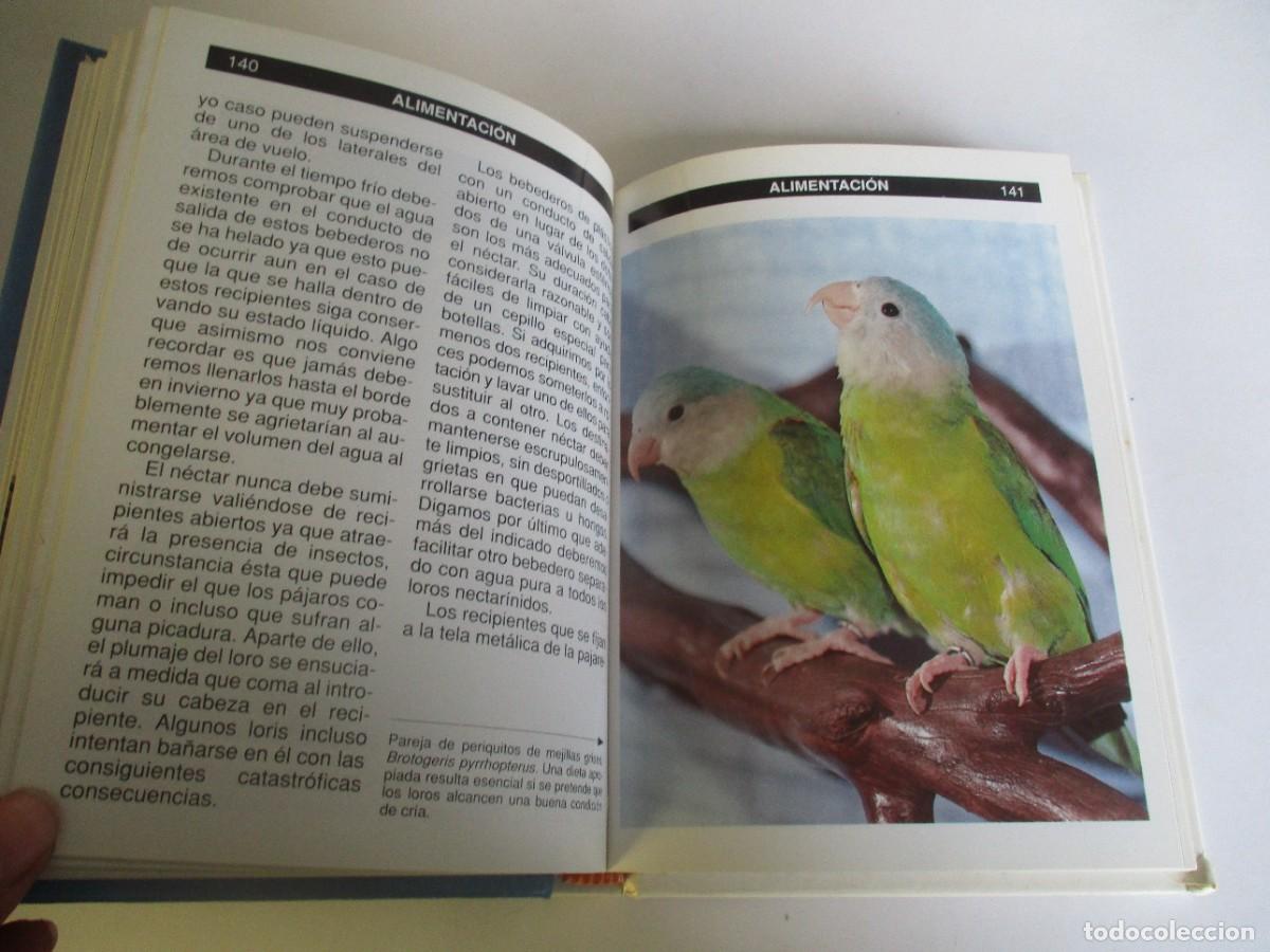 Libros de segunda mano: MART&Iacute;N SKINNER Gu&iacute;a completa de los loros W22435 - Foto 3