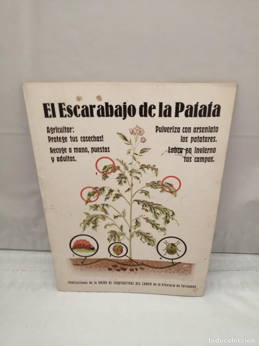 Second hand books: El escarabajo de la patata (Folleto de divulgaci&oacute;n, Edici&oacute;n Tarragona 1944)