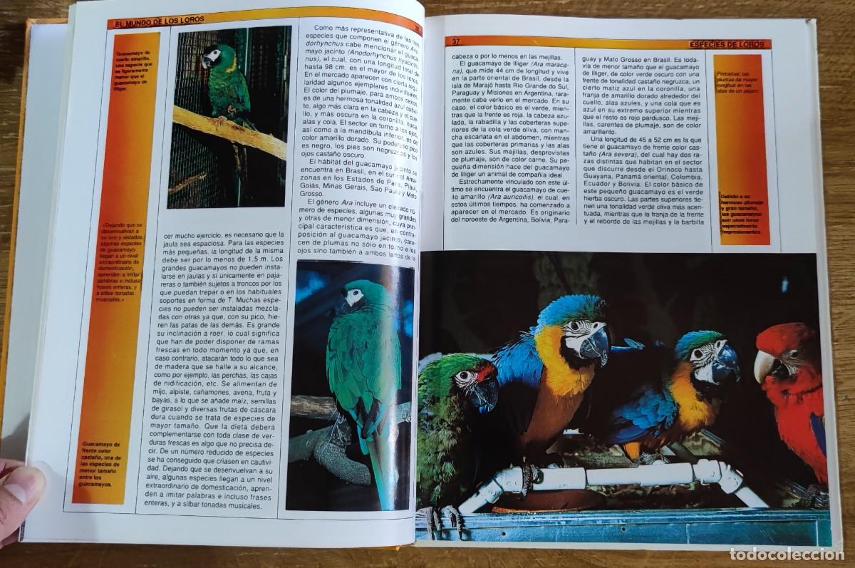 Libros de segunda mano: Libro - El mundo de los loros (1992) James Thompson - Foto 3