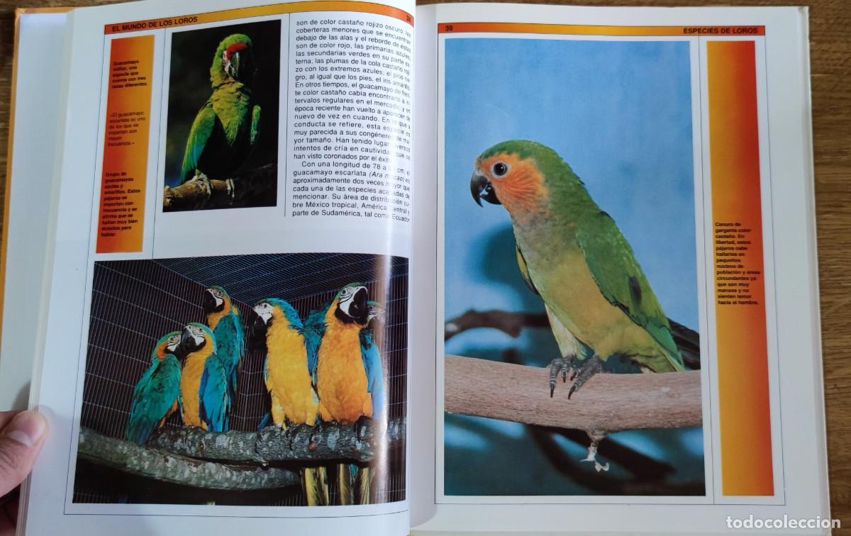 Libros de segunda mano: Libro - El mundo de los loros (1992) James Thompson - Foto 4