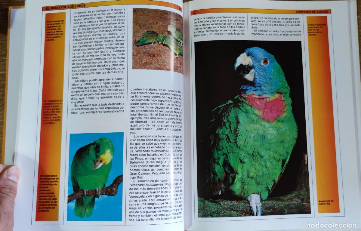 Libros de segunda mano: Libro - El mundo de los loros (1992) James Thompson - Foto 5