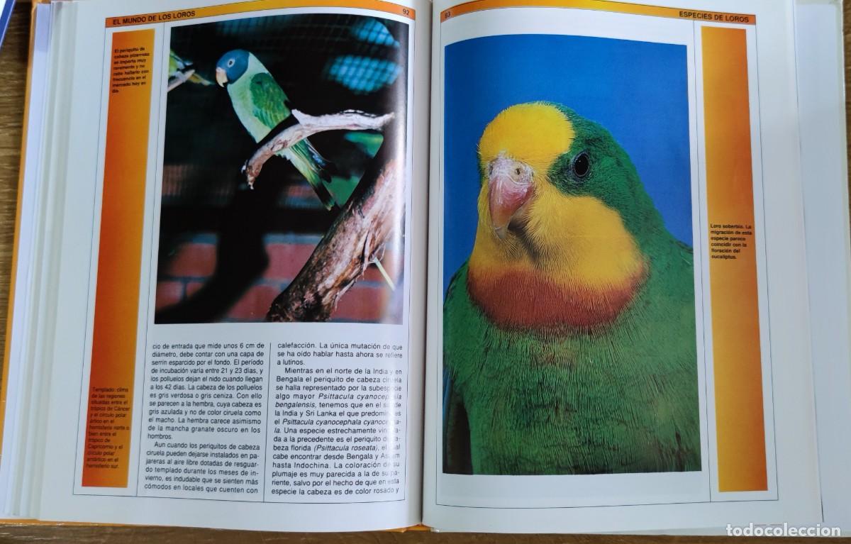 Libros de segunda mano: Libro - El mundo de los loros (1992) James Thompson - Foto 6