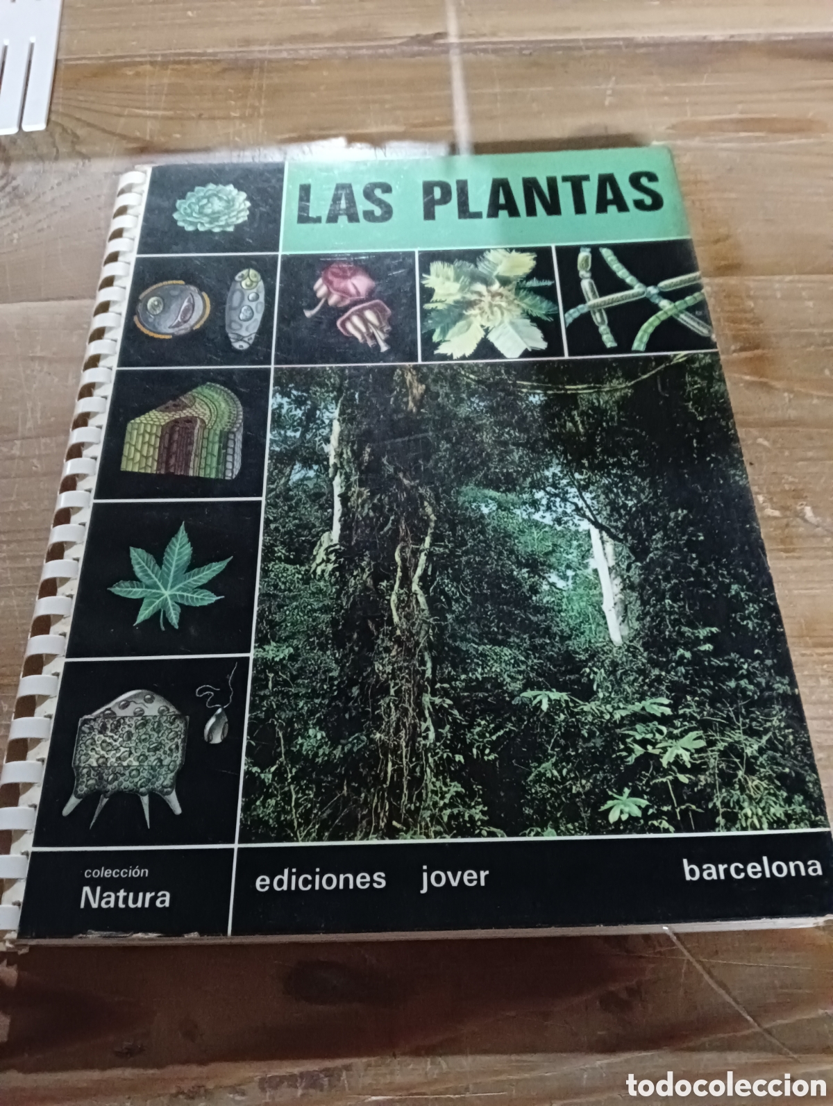 Libros de segunda mano: Las plantas. Ediciones Jover - Foto 1