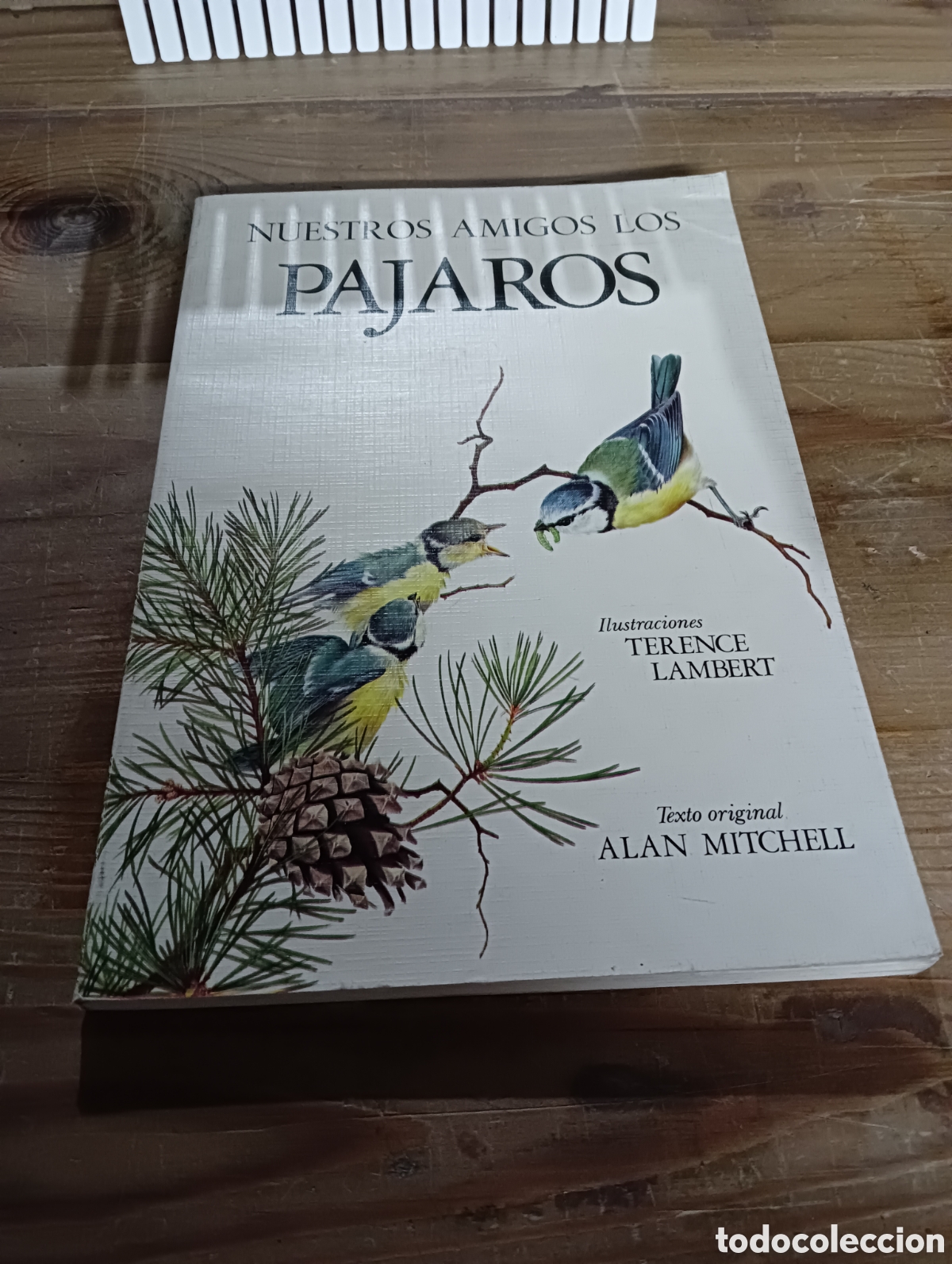 Libros de segunda mano: Nuestros Amigos los p&aacute;jaros - Foto 1