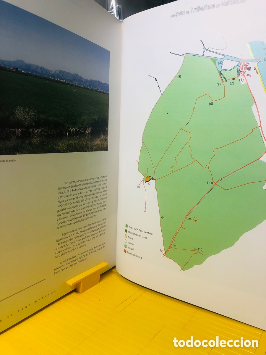 Libros de segunda mano: LAS AVES DE L&acute;&Aacute;LBUFERA DE VALENCIA - Foto 5