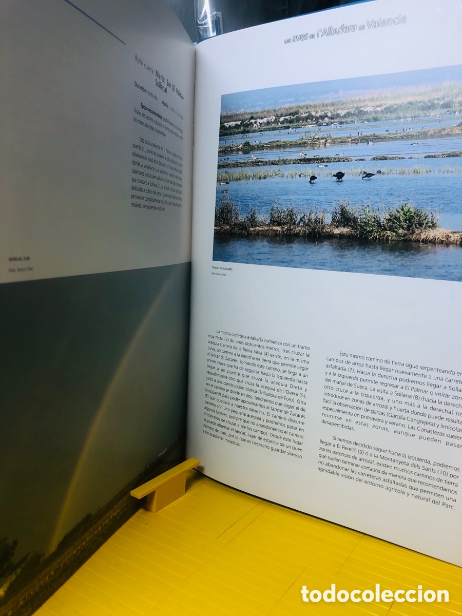 Libros de segunda mano: LAS AVES DE L&acute;&Aacute;LBUFERA DE VALENCIA - Foto 6