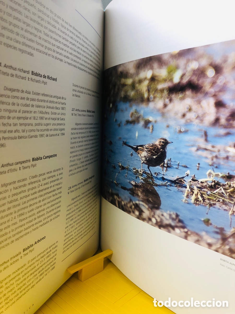 Libros de segunda mano: LAS AVES DE L&acute;&Aacute;LBUFERA DE VALENCIA - Foto 9