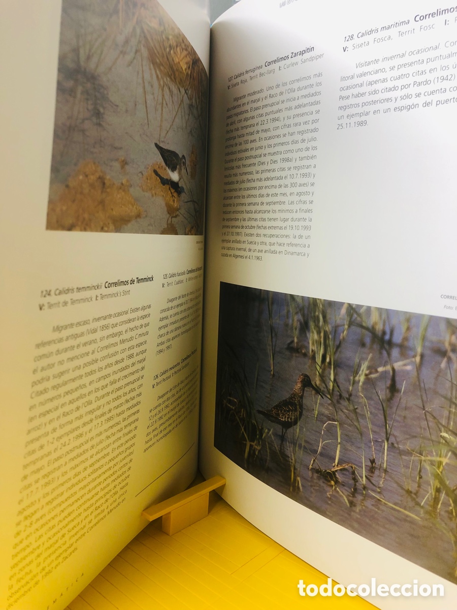 Libros de segunda mano: LAS AVES DE L&acute;&Aacute;LBUFERA DE VALENCIA - Foto 10