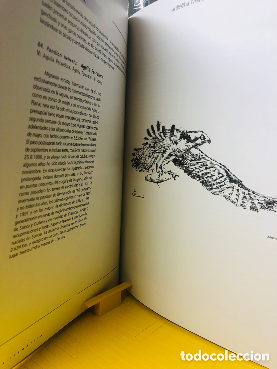 Libros de segunda mano: LAS AVES DE L&acute;&Aacute;LBUFERA DE VALENCIA - Foto 11