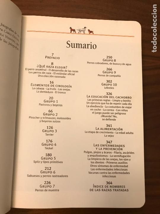 Libros de segunda mano: PERROS LAS RAZAS , GU&Iacute;A DEL AFICIONADO , EDITORIAL SUSAETA - Foto 3