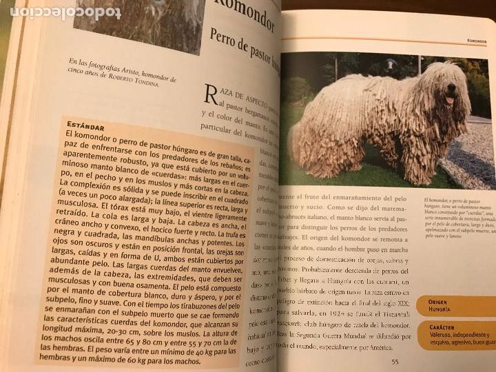 Libros de segunda mano: PERROS LAS RAZAS , GU&Iacute;A DEL AFICIONADO , EDITORIAL SUSAETA - Foto 4
