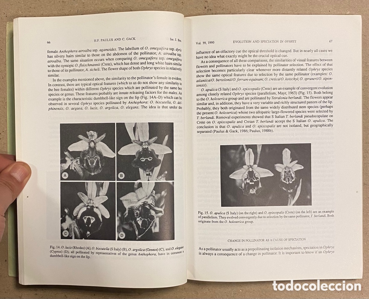 Libros de segunda mano: ADVANCES IN POLLINATION ECOLOGY. EDITED BY A. DAFNI AND D. EISIKOWITCH. - Foto 4