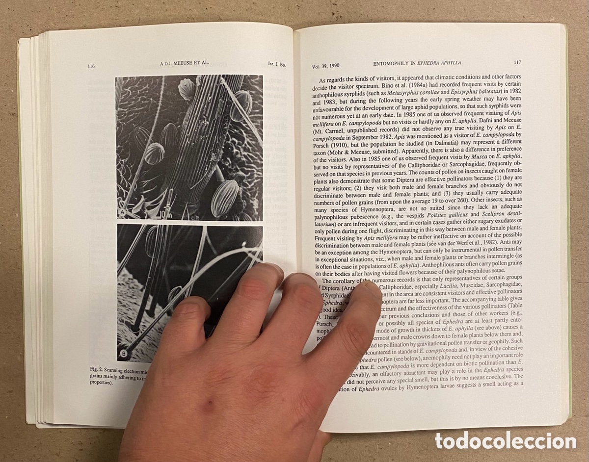 Libros de segunda mano: ADVANCES IN POLLINATION ECOLOGY. EDITED BY A. DAFNI AND D. EISIKOWITCH. - Foto 5