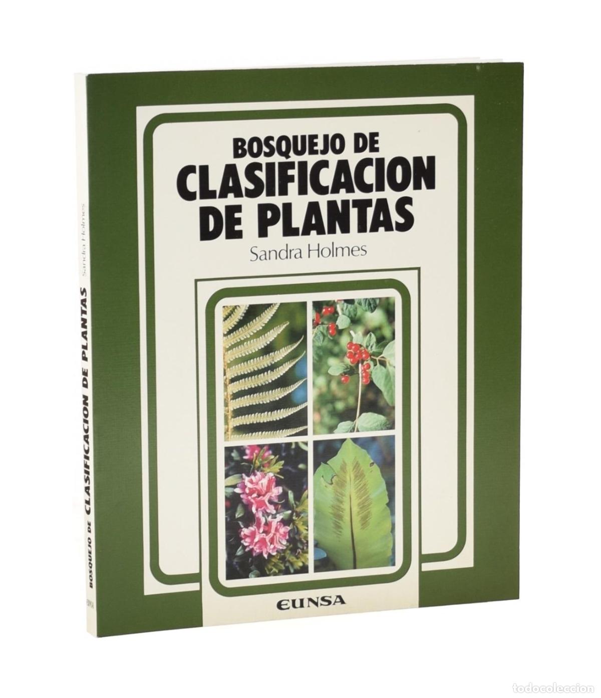 Libros de segunda mano: BOSQUEJO DE CLASIFICACI&Oacute;N DE PLANTAS - HOLMES, Sandra - Foto 1