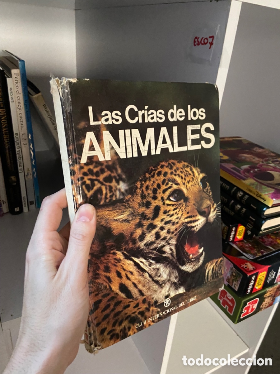 Libros de segunda mano: Esco7 Las Cr&iacute;as de los ANIMALES - Foto 1