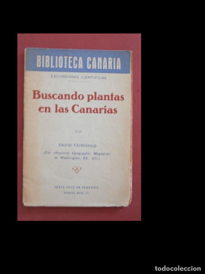 Libros de segunda mano: Buscando plantas en las Canarias. Excursiones cient&iacute;ficas. David Fairchild - Foto 1