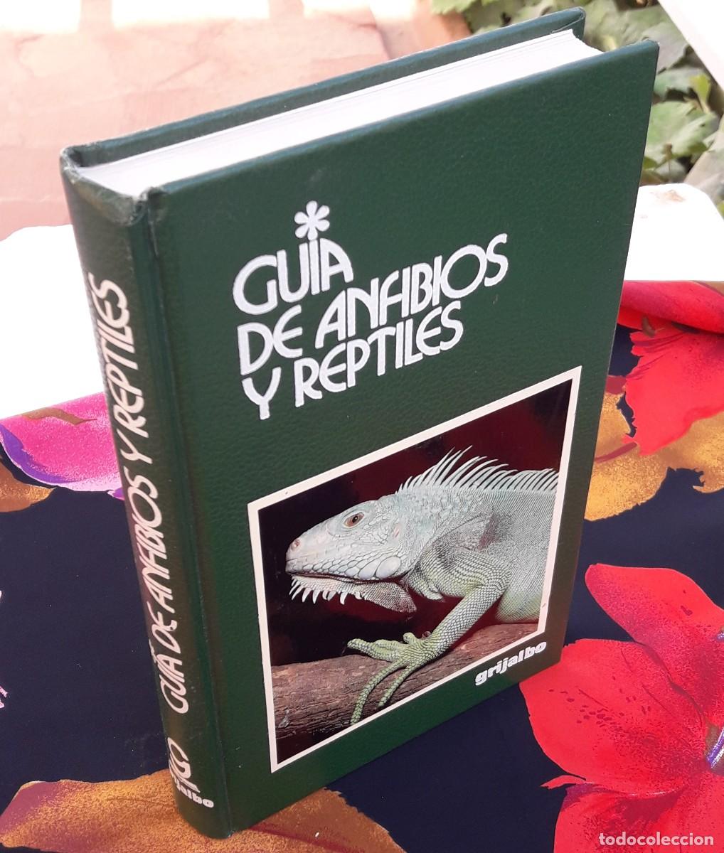 Libros de segunda mano: Gu&iacute;a de anfibios y reptiles. - Foto 1
