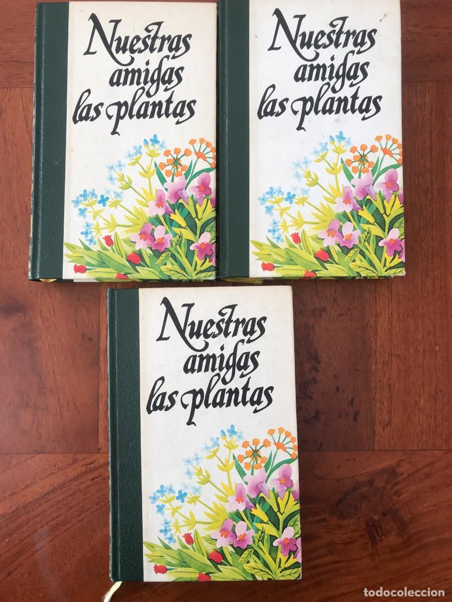 Libros de segunda mano: Daniela Manta. Nuestras Amigas Las Plantas. - Foto 1