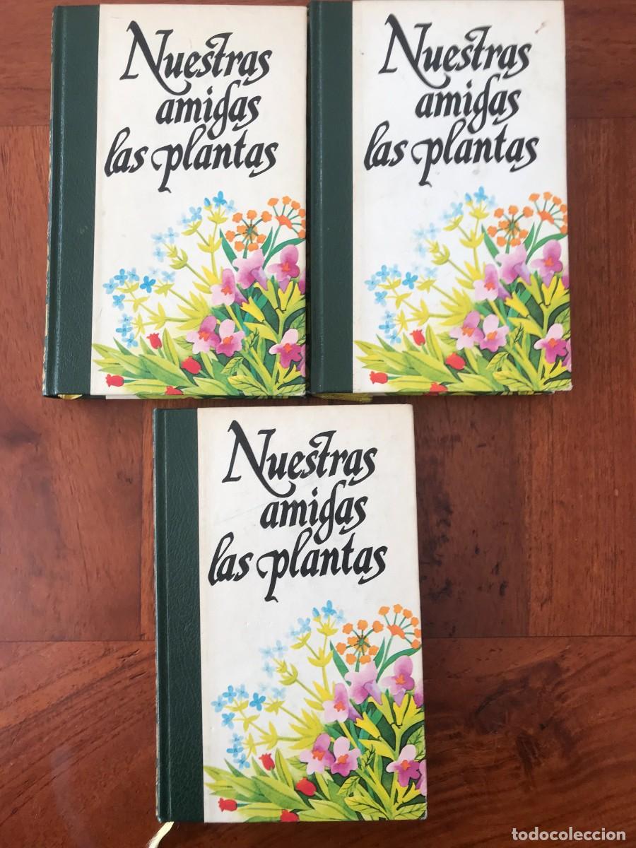 Libros de segunda mano: Daniela Manta. Nuestras Amigas Las Plantas. - Foto 2