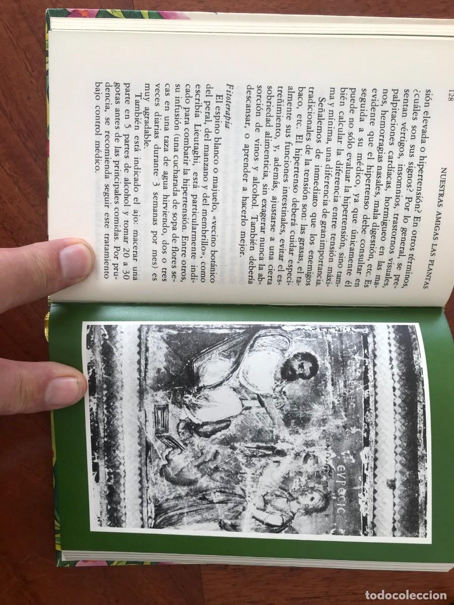 Libros de segunda mano: Daniela Manta. Nuestras Amigas Las Plantas. - Foto 3