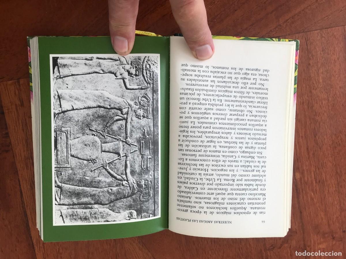 Libros de segunda mano: Daniela Manta. Nuestras Amigas Las Plantas. - Foto 5