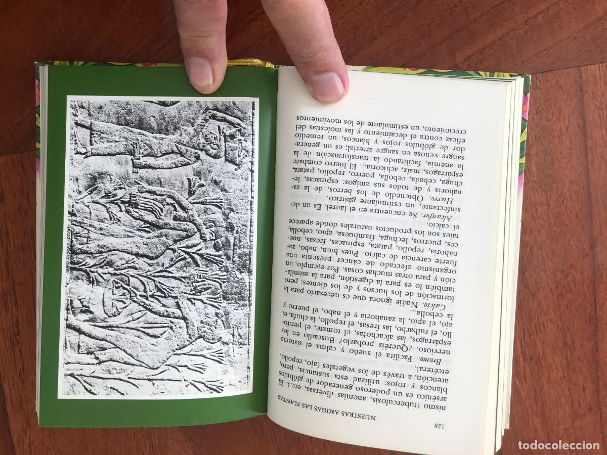 Libros de segunda mano: Daniela Manta. Nuestras Amigas Las Plantas. - Foto 6