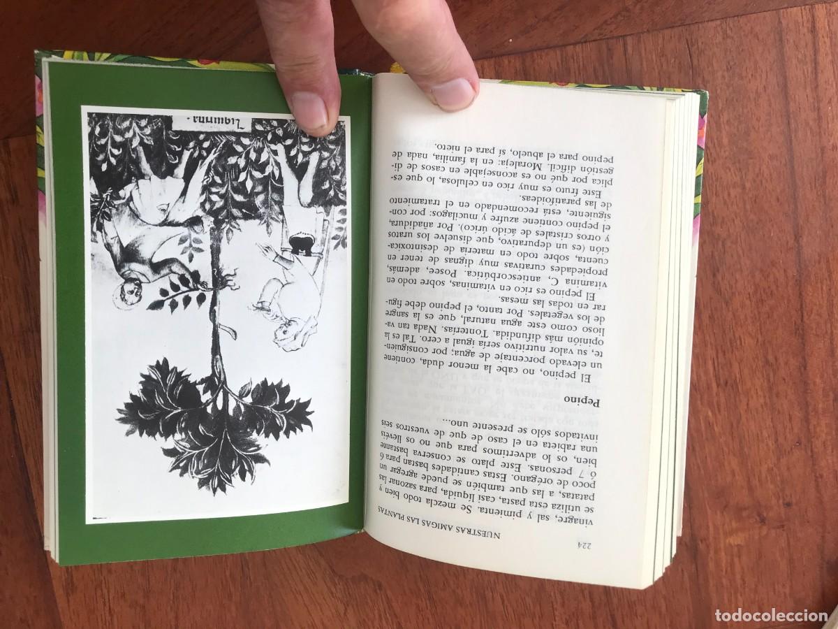 Libros de segunda mano: Daniela Manta. Nuestras Amigas Las Plantas. - Foto 7