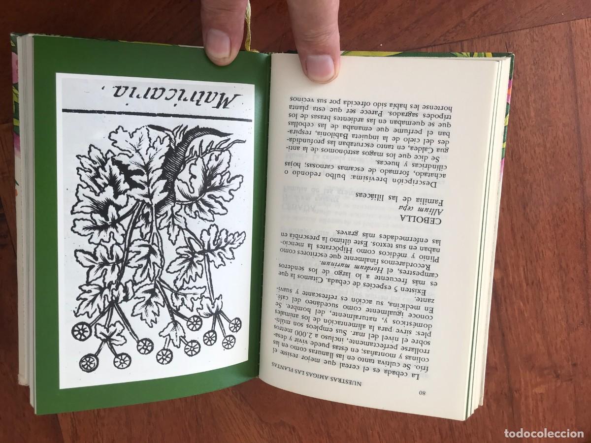 Libros de segunda mano: Daniela Manta. Nuestras Amigas Las Plantas. - Foto 8