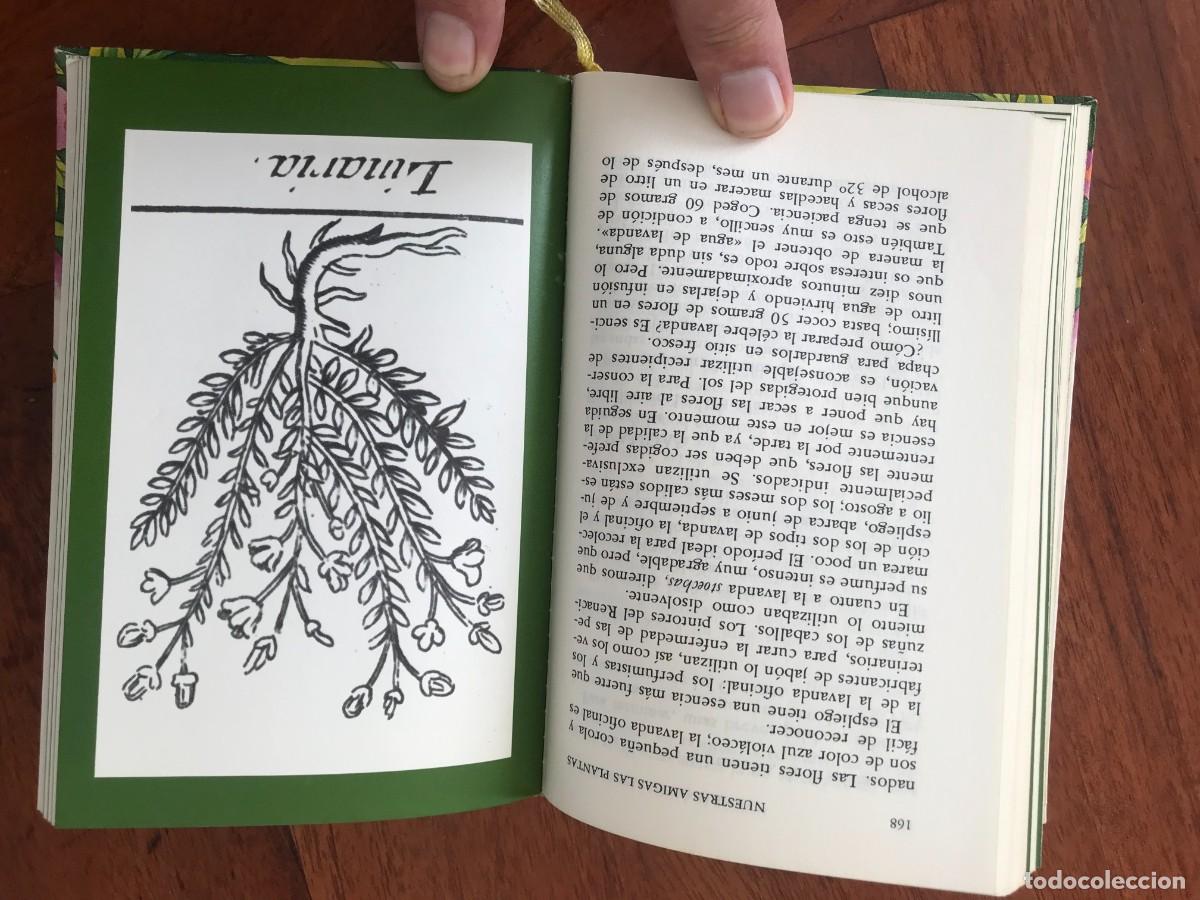 Libros de segunda mano: Daniela Manta. Nuestras Amigas Las Plantas. - Foto 9