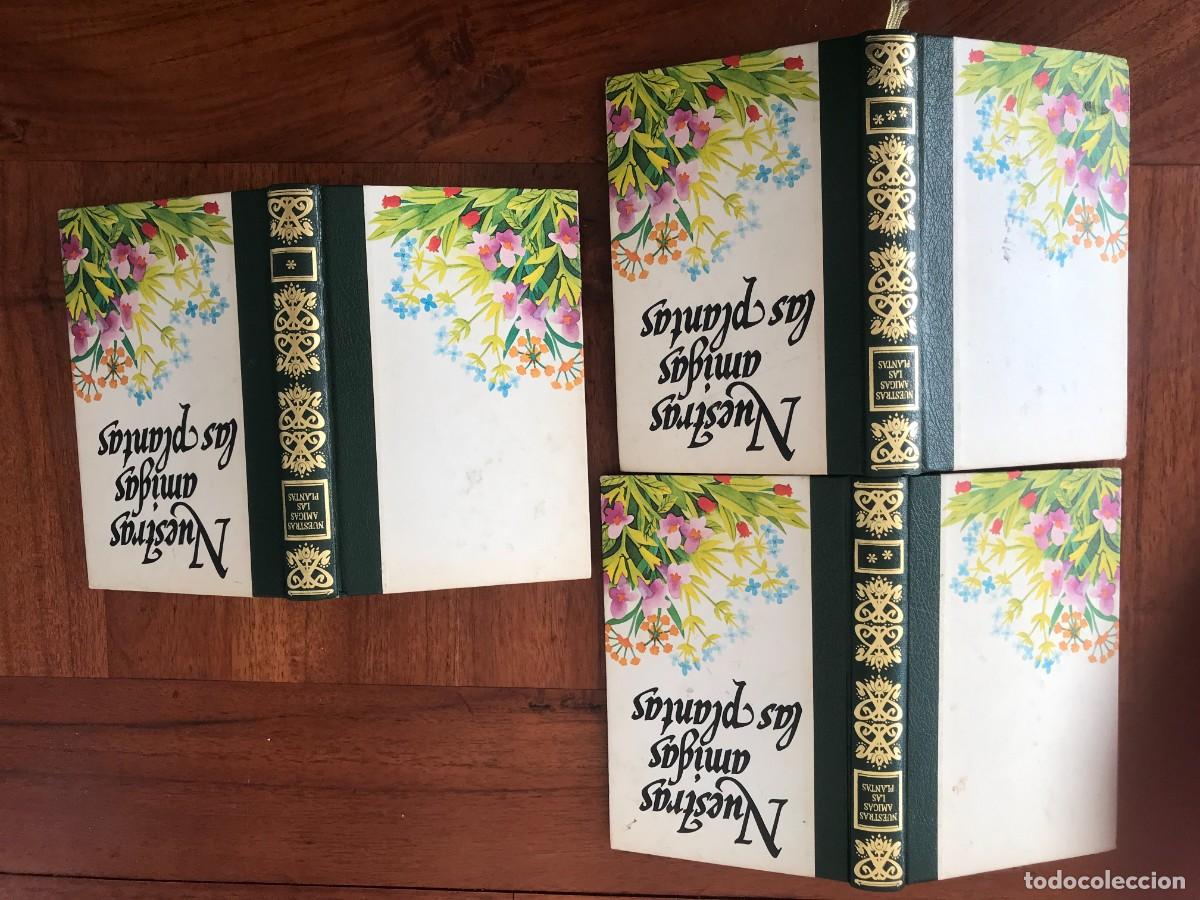Libros de segunda mano: Daniela Manta. Nuestras Amigas Las Plantas. - Foto 10